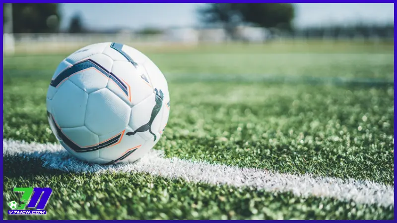 Odds là gì trong tỷ lệ Châu Âu