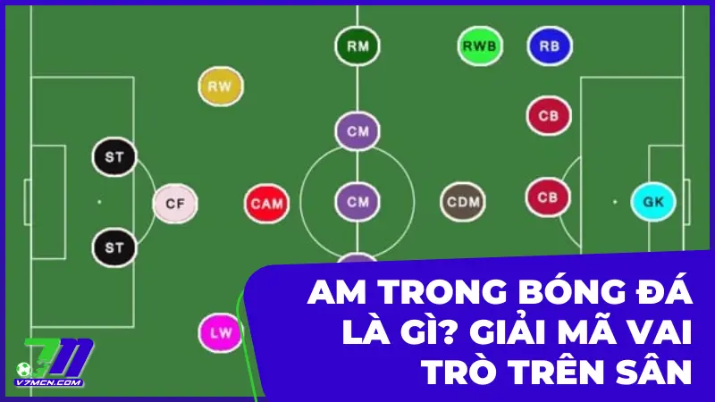 AM Trong Bóng Đá Là Gì? Giải Mã Vai Trò Quan Trọng Trên Sân
