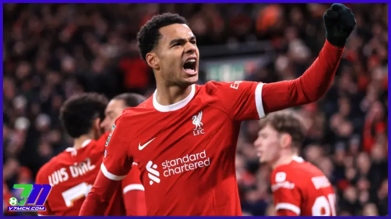 Tiểu sử cầu thủ Cody Gakpo