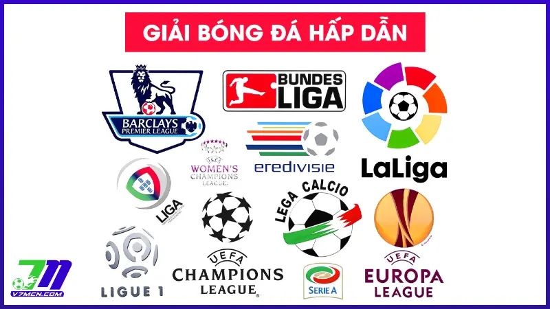 Những giải đấu đang có trên Lịch thi đấu 7M