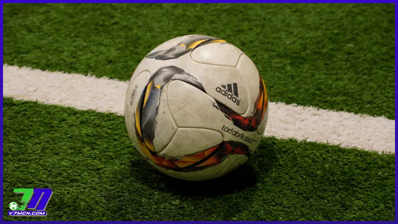 Câu hỏi thường gặp về tính năng mà 7M CN cung cấp cho hội viên