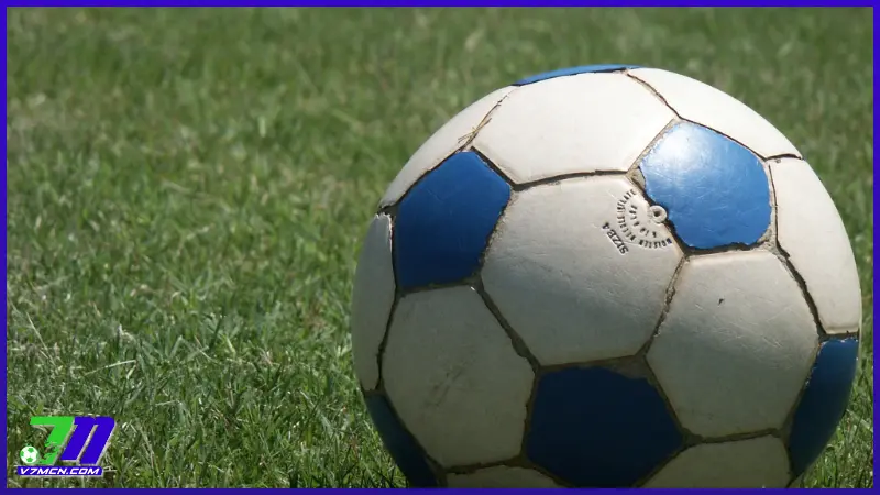 Giới thiệu 7M về nền tảng có thể sử dụng - qua website, app