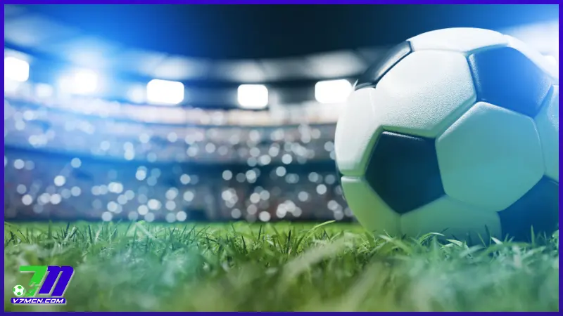 Sự phong phú trong hệ thống trận đấu trên Lịch thi đấu 7MCN