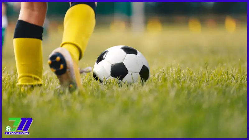 Lịch thi đấu 7M còn có thêm nhiều tính năng hữu ích khác