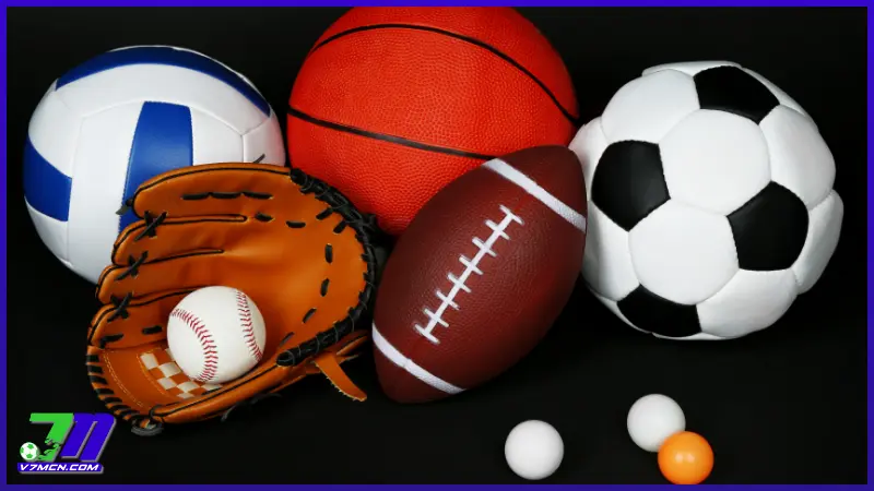 Điểm danh những bộ môn thể thao nổi bật