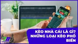Kèo nhà cái là gì? Các loại kèo phổ biến trong cá độ bóng đá