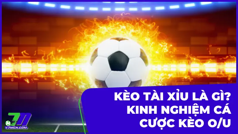 Kèo tài xỉu (Over/Under): Định nghĩa, cách đọc và kinh nghiệm chơi hiệu quả