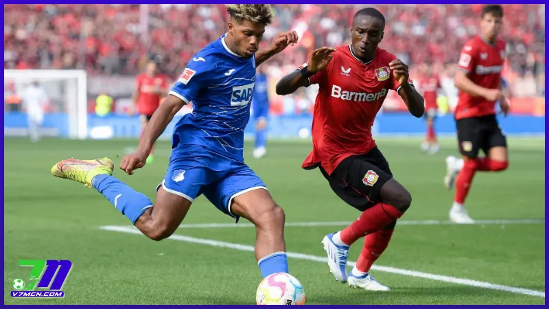 Lịch thi đấu Bayer Leverkusen vs Hoffenheim (02/02/2025 - 23:30)